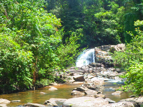 Eco Villa-Sinharaja-Sinharaja Rain Forest-Activities